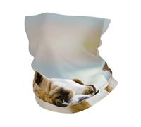Funny English Bulldog Fashionable And Versatile Sports Headscarf, Soft And Lightweight, Suitable For Various Sports Activities