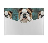 Funny English Bulldog File Folder, Waterproof Expanding File Folder with 6 Pockets, Durable PP Document Organizer for Office, Home
