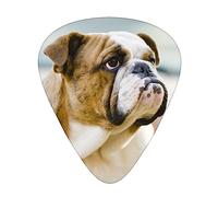 Funny English Bulldog High-Quality, Wear-Resistant And Tough Guitar Picks Give You A Different Musical Experience