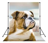 Funny English Bulldog Print Photo Studio Background 5x7ft Soft Photo Backdrop Curtain For Studio Content Creator Equipment
