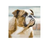 Funny English dog Printed Square Jigsaw Puzzle 16x16 CM, Puzzle Challenging Game for Adults Gifts, Family Fun Decorative Wall Decor