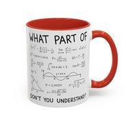 Funny Equation Maths Mug - “What Part of Don’t You Understand?” - Gift for Maths Teachers, Students, Engineers - Novelty End of Term Coffee Cup (Red 11oz, Mug)
