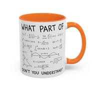 Funny Equation Maths Mug - “What Part of Don’t You Understand?” - Gift for Maths Teachers, Students, Engineers - Novelty End of Term Coffee Cup (Orange 11oz, Mug)