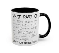 Funny Equation Maths Mug - “What Part of Don’t You Understand?” - Gift for Maths Teachers, Students, Engineers - Novelty End of Term Coffee Cup (Black 11oz, Mug)