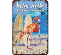 Funny Flamingo Hello Sweet Cheeks Sign for Bathroom Decoration, Why Have A Seat Tin Sign, Restroom Decor and Accessories Wall Metal Sign 8x12 In