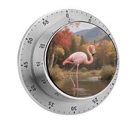 Funny Flamingo Kitchen Timer 60 Minute Visual Wind Up Timers Indoor Mechanical Timers with Magnetic Base Stainless Steel Timer for Home Cooking Time Management Tool