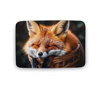 Funny Fox Creature Sleeping Area Rug Large Room Rugs Coral Velvet Door Mats with Rubber Backing Non Slip Bathtubs Floor Mat Stylish Bathroom Rug Washable Carpet for Playroom 19.7"x31.5"