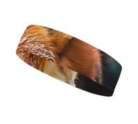 Funny Fox Creature Sleeping Sports Headbands for Man, Non Slip Sweatbands for Running, Stretchy Breathable Hairband for Cycling, Football, Yoga, Fitness Workout, Washing Face