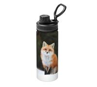 Funny Fox Printing 18oz Sports Insulated Kettle Drinking Cup Stainless Steel Portable Cup for Gym
