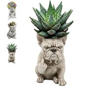 Funny French Bulldog Planter Pot,Novelty Cute Creative Dog Planter,Resin Succulent Vase with Drainage Hole,Indoor Outdoor Garden Decor Statue for Office Home & Gift (C)
