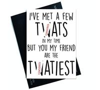 Funny Friend Greeting Cards Best Friend Cards Birthday Cards for Friend Christmas Card Funny Rude Birthday Card Colleague Cards Rude Twat Card PC522