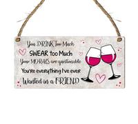 Funny Friendship Plaque - "You Drink Too Much, Swear Too Much, Your Morals Are Questionable" Humorous and Playful Sign with Wine Glasses, Gift for Best Friends, (Large: 29 cm (H) × 13.5 cm (W))