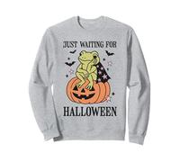 Funny Frog Sitting on Pumpkin Just Waiting for Halloween Sweatshirt