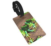 Funny Frogs Printed Small Luggage Tags Portable Bag ID Holders with Adjustable Strap for Travel Gear