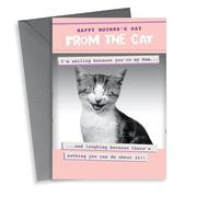 Funny from the Cat mother's day card - Laughing as there's nothing you can do!