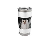 Funny Front Door Camera Cat Ghost Meme Halloween Stainless Steel Insulated Tumbler