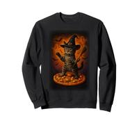 Funny Galaxy Witch Cat Halloween Cat In Space Riding Pizza Sweatshirt