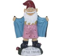 Funny Garden Gnome Statue Resin Figurines SAY Hello to My Little Friend Indoor Ornament Gift Outdoor Garden Decorations for Home Patio Yard (Blue)
