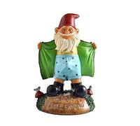 Funny Garden Gnome Statue Resin Gnomes Figurines SAY Hello to My Little Friend Indoor Ornament Gift Outdoor Garden Decorations for Home Patio Yard Lawn Porch (Green)
