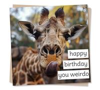 Funny Giraffe Birthday Card for Friend or Loved One - Happy Birthday You Weirdo - For Giraffe or Animal Lovers