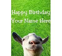 Funny Goat hs150 In The Garden Fun Cute Happy Birthday A5 Personalised Greeting card POSTED BY US GIFTS FOR ALL 2016 FROM DERBYSHIRE UK