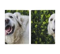 Funny Golden Retriever Passport Holder Slim PU Leather Passports Wallet Portable Passports Protector Passport Cover