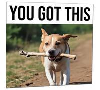 Funny Good Luck Card - Dog - 145 x 145mm - Co Worker Colleague New Job Card