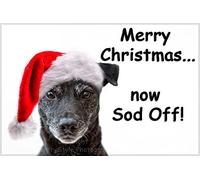 Funny Grumpy Patterdale Dog in Santa Hat Fridge Magnet with The Text, Merry Christmas... Now Sod Off. Perfect Stocking Filler for That Old Cumugeon.