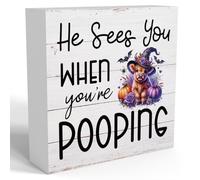 Funny Halloween Bathroom Decor Highland Cow Decorations Party Vintage Flower Rustic Pumpkin Wooden Box Sign He Sees You When You're Pooping Decoration Gifts 7x7 inch
