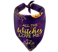 Funny Halloween Pet Bandana Witchy Dog Bandana All The Witches Love Me Dog Scarf for Cat Pup(All The Witches)