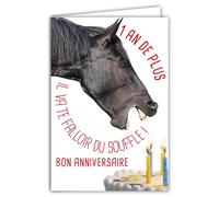 Funny Happy Birthday Card 1 Year Plus with Illustrated Envelope 17.5 x 12 cm Funny Funny Horse Blowing Candles on a Cake Design Made in France 69-6209