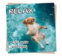 Funny Happy Birthday Card For a Loved One and Dog Lover - Relax, Dogs, Animal Humour - Heartfelt, Sincere - Celebration, Holidays - For a Friend, Bestie, Relative, Family, Partner, Special Someone