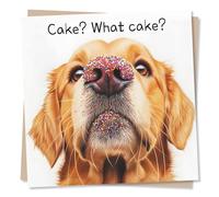 Funny Happy Birthday Card For A Loved One - Dog, Sprinkles - Animal Lover - Woof Woof - Humour - I Haven't Seen The Cake - For a Friend, Bestie, Special Someone, Partner, Husband, Wife