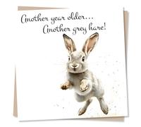 Funny Hare Happy Birthday Card - Another Year Older - Grey - Animal Lover - Lighthearted - Birthday Card for Her, for Him, for Friend, Best Friend, Partner, Relative, Loved One