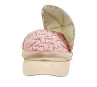 Funny Hat, Party Hat, Photo Prop Costume Accessory Open and Close Brain Design for Women Men Travel Hiking Festival Birthday