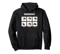 Funny Hedgehog Activities Pet Owner Pygmy Hedgehog Pullover Hoodie