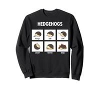 Funny Hedgehog Activities Pet Owner Pygmy Hedgehog Sweatshirt