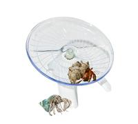 Funny Hermit Crab Running Wheel Climb Toy, Hamster Reptiles Running Flying Wheel Saucer, Cute Running Wheel for Guinea Pig Small Pet Animals Tree Frog Hamster Lizard Salamander Hermit Crab (White)