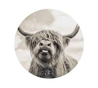 Funny Highland Cow Leather Coasters Non-Stick Non-Slip, Hot Or Cold Drinks Drink Coasters,Coffee Tables,Offices And Other Protective Coasters (4-Piece Set)