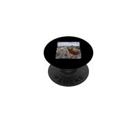 Funny Highway Traffic Camera American Robin PopSockets Adhesive PopGrip