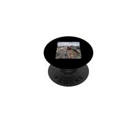 Funny Highway Traffic Camera Barn Swallow PopSockets Adhesive PopGrip