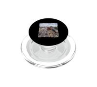 Funny Highway Traffic Camera Barn Swallow PopSockets PopGrip for MagSafe