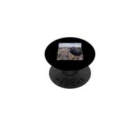 Funny Highway Traffic Camera Common Grackle PopSockets Adhesive PopGrip