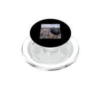 Funny Highway Traffic Camera Common Grackle PopSockets PopGrip for MagSafe