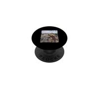 Funny Highway Traffic Camera House Gecko PopSockets Adhesive PopGrip