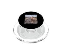 Funny Highway Traffic Camera Mourning Dove PopSockets PopGrip for MagSafe