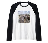 Funny Highway Traffic Camera Osprey Raglan Baseball Tee