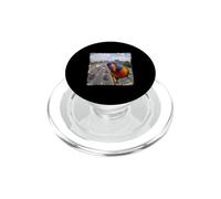 Funny Highway Traffic Camera Rainbow Lorikeet PopSockets PopGrip for MagSafe