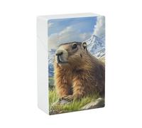 Funny Himalayan Groundhog Funny Cigarette Case Stylish Cigarettes Holder Box Ideal Gifts for Men Women Smoker