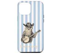 Funny Hootenanny Owl Banjo Country Blue Stripes Aesthetic Case for iPhone 12 Pro Max